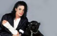 /album/galeria-de-fotos/michael-jackson-wallpapers-02-jpg/